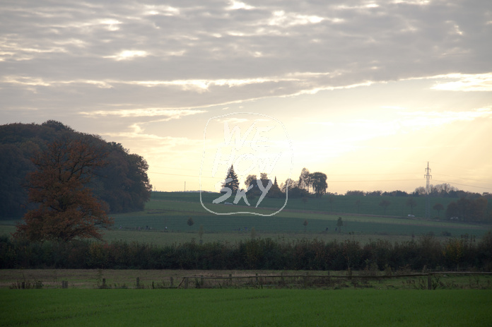 Abendgegenlicht