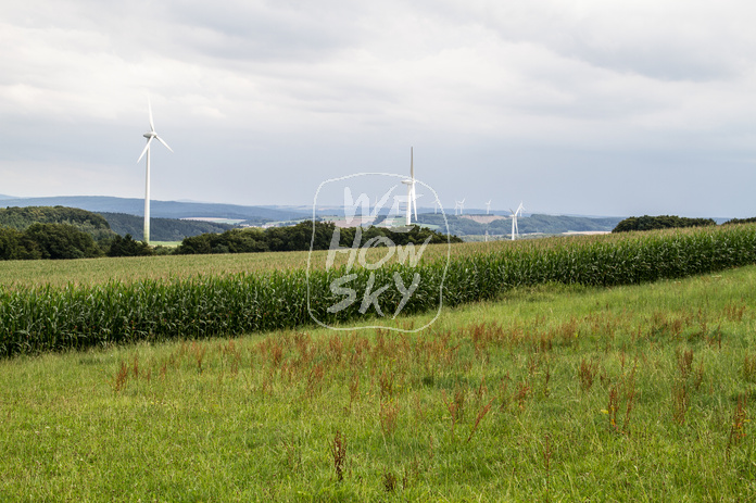 Windräder vor Teuto