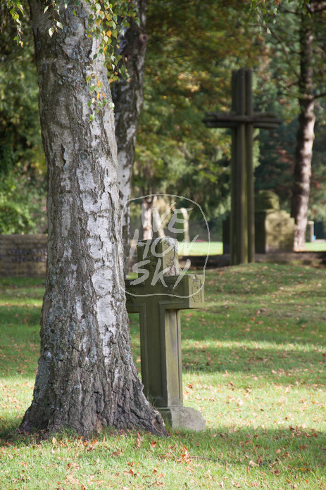 Steinkreuz an Baum