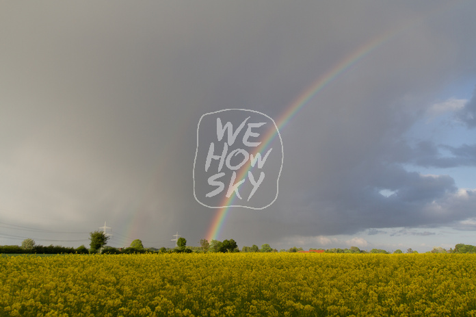 Regenbogen hinter Rapsfeld