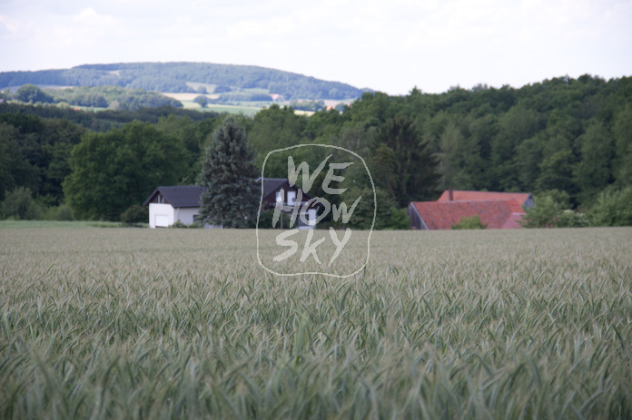 Bauernhaus hinter Kornfeld