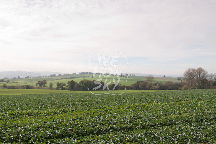 Blick über Kohlfeld