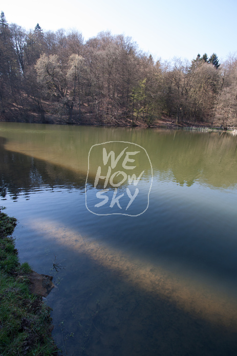 Schatten auf Teich