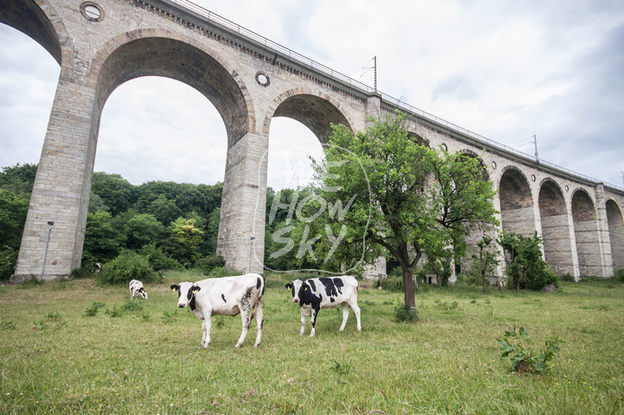 Viadukt Altenbeken