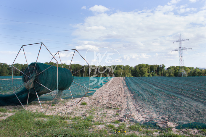 Abgedecktes Kohlrabifeld