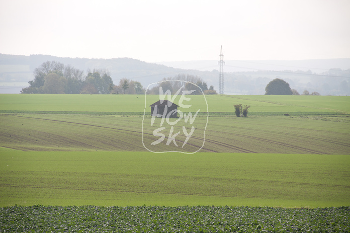 Blick über Kohlfeld