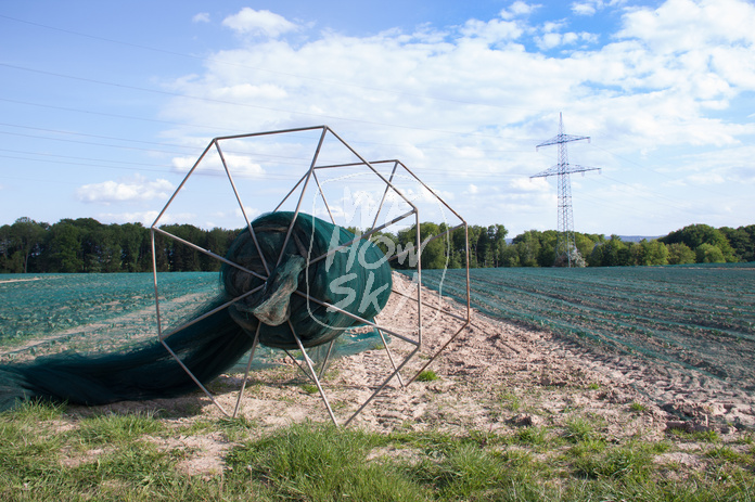 Abgedecktes Kohlrabifeld