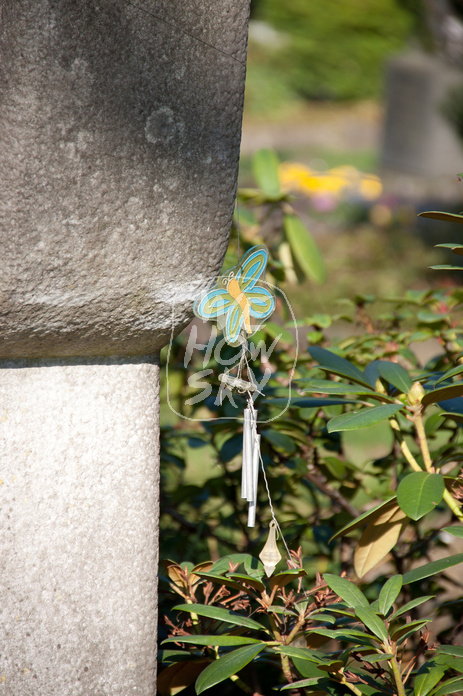 Grabstein mit Schmetterling