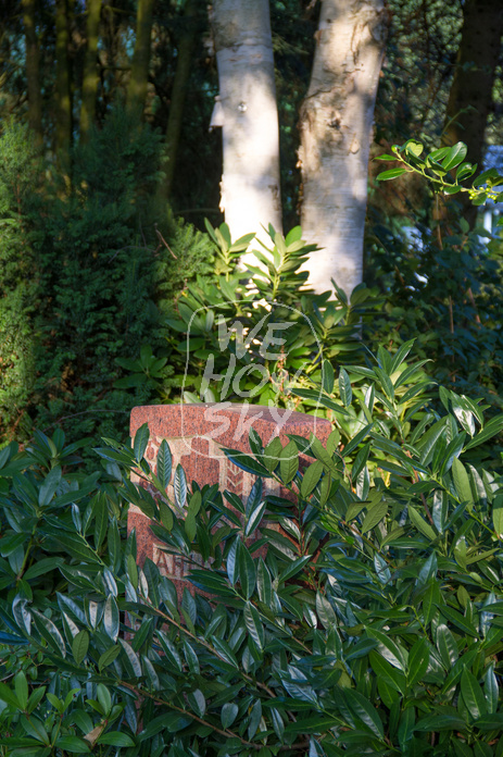 Friedhof im Abendlicht