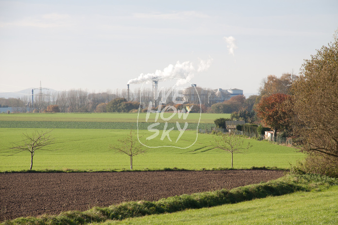 Zuckerrübenernte in Lage