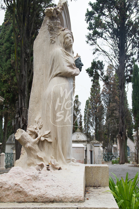 Friedhof Lissabon