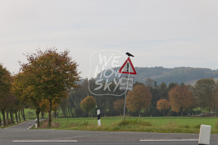 Straßenschild mit Vogel