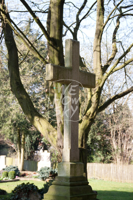 Großes Kreuz vor Buche