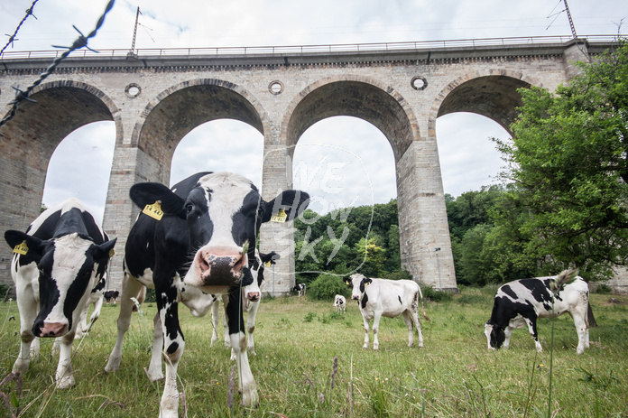 Viadukt Altenbeken