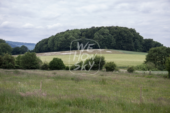 Wald auf Hügel