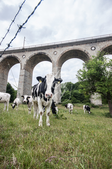 Viadukt Altenbeken