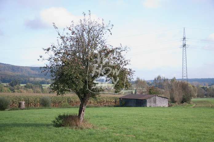 Freistehende Scheune