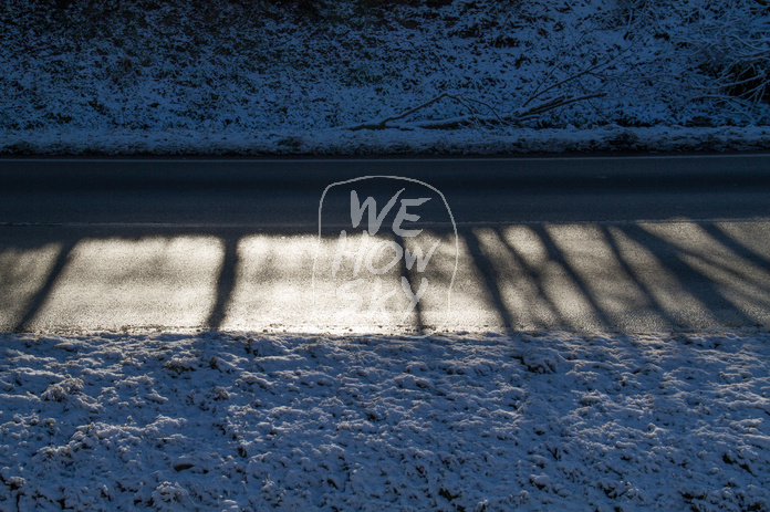 Fahrbahn im Gegenlicht