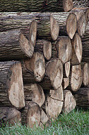 Holzstammstapel